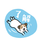 ほっこりジャックラッセル 4（夏）（個別スタンプ：2）
