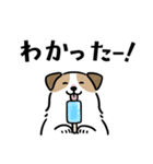 ほっこりジャックラッセル 4（夏）（個別スタンプ：3）