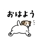 ほっこりジャックラッセル 4（夏）（個別スタンプ：7）