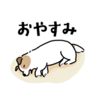ほっこりジャックラッセル 4（夏）（個別スタンプ：8）