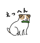 ほっこりジャックラッセル 4（夏）（個別スタンプ：10）