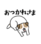 ほっこりジャックラッセル 4（夏）（個別スタンプ：17）