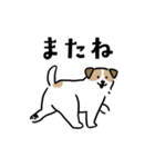 ほっこりジャックラッセル 4（夏）（個別スタンプ：20）