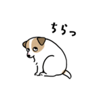 ほっこりジャックラッセル 4（夏）（個別スタンプ：30）