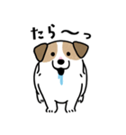 ほっこりジャックラッセル 4（夏）（個別スタンプ：31）