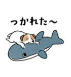 ほっこりジャックラッセル 4（夏）（個別スタンプ：35）