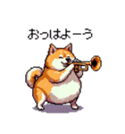 楽器を奏でる太っちょ柴犬（個別スタンプ：3）