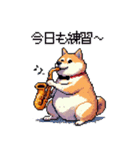 楽器を奏でる太っちょ柴犬（個別スタンプ：4）