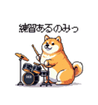 楽器を奏でる太っちょ柴犬（個別スタンプ：8）