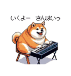 楽器を奏でる太っちょ柴犬（個別スタンプ：10）