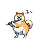 楽器を奏でる太っちょ柴犬（個別スタンプ：12）