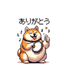 楽器を奏でる太っちょ柴犬（個別スタンプ：13）