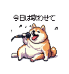 楽器を奏でる太っちょ柴犬（個別スタンプ：15）