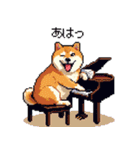 楽器を奏でる太っちょ柴犬（個別スタンプ：24）