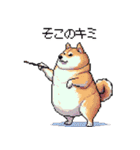 楽器を奏でる太っちょ柴犬（個別スタンプ：31）