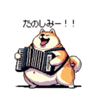 楽器を奏でる太っちょ柴犬（個別スタンプ：33）