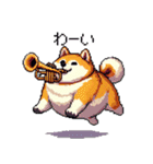 楽器を奏でる太っちょ柴犬（個別スタンプ：40）