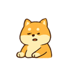 チル柴犬 ドラマな日常（個別スタンプ：3）