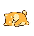 チル柴犬 ドラマな日常（個別スタンプ：4）