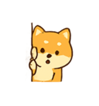 チル柴犬 ドラマな日常（個別スタンプ：9）