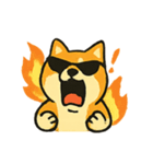 ロッキー熱血ロック柴犬（個別スタンプ：5）