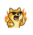 ロッキー熱血ロック柴犬（個別スタンプ：9）