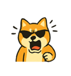 ロッキー熱血ロック柴犬（個別スタンプ：12）