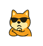 ロッキー熱血ロック柴犬（個別スタンプ：13）