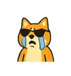 ロッキー熱血ロック柴犬（個別スタンプ：18）