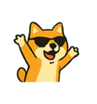 ロッキー熱血ロック柴犬（個別スタンプ：24）