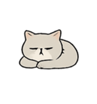 ミスター・フラッフ怠け猫王の支配術（個別スタンプ：4）