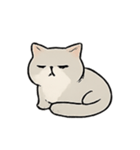 ミスター・フラッフ怠け猫王の支配術（個別スタンプ：7）