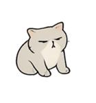 ミスター・フラッフ怠け猫王の支配術（個別スタンプ：9）