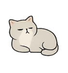 ミスター・フラッフ怠け猫王の支配術（個別スタンプ：10）