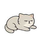 ミスター・フラッフ怠け猫王の支配術（個別スタンプ：11）