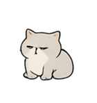 ミスター・フラッフ怠け猫王の支配術（個別スタンプ：12）