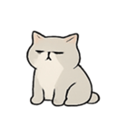 ミスター・フラッフ怠け猫王の支配術（個別スタンプ：13）