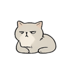 ミスター・フラッフ怠け猫王の支配術（個別スタンプ：17）