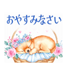 水彩感じるポメラニアンスタンプ（個別スタンプ：12）