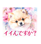 水彩感じるポメラニアンスタンプ（個別スタンプ：15）