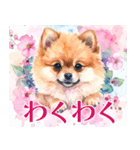 水彩感じるポメラニアンスタンプ（個別スタンプ：21）