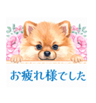 水彩感じるポメラニアンスタンプ（個別スタンプ：25）