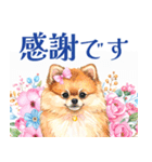 水彩感じるポメラニアンスタンプ（個別スタンプ：34）