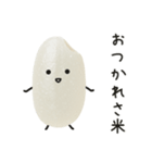 おこめちゃん♡毎日使える♩（個別スタンプ：3）