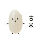 おこめちゃん♡毎日使える♩（個別スタンプ：11）