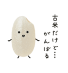 おこめちゃん♡毎日使える♩（個別スタンプ：16）