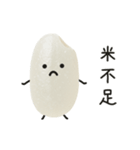 おこめちゃん♡毎日使える♩（個別スタンプ：19）