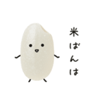 おこめちゃん♡毎日使える♩（個別スタンプ：23）