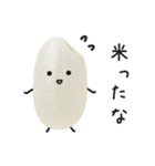 おこめちゃん♡毎日使える♩（個別スタンプ：26）