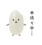 おこめちゃん♡毎日使える♩（個別スタンプ：29）